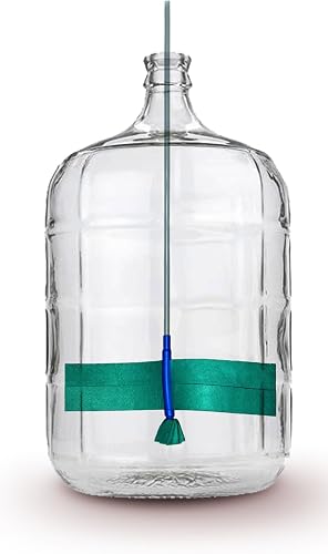 Kombucha Brewing Kit Buying Guide: What to Look for Before You Buy